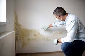 Best Mold Prevention Services  in Carle Place, NY